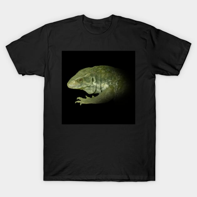 Monitor lizard T-Shirt by Guardi